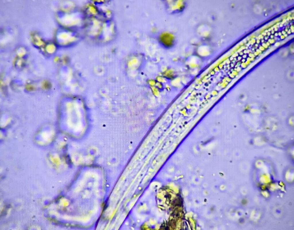 Biology