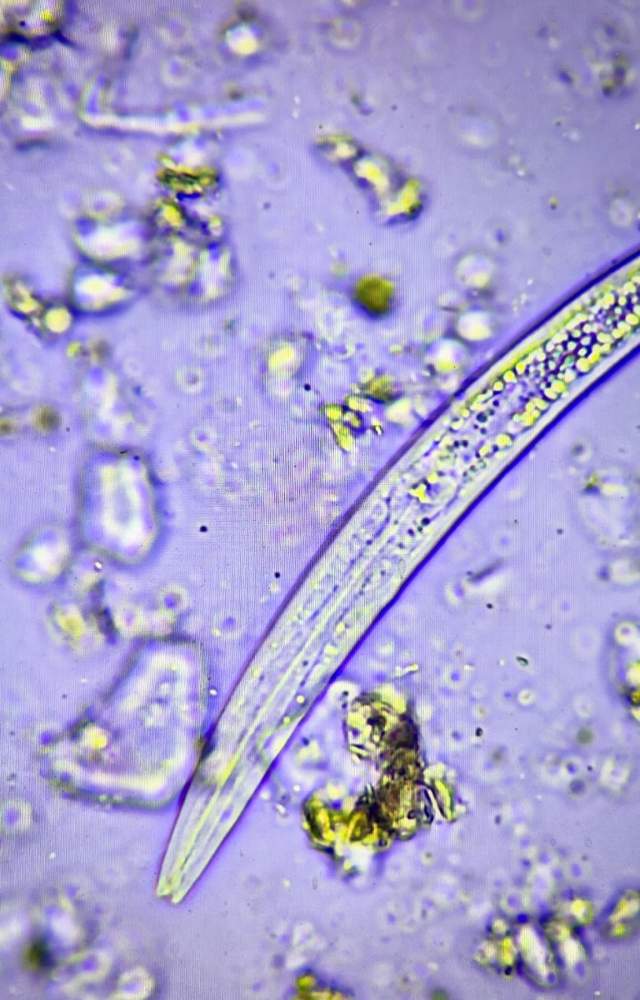 Biology