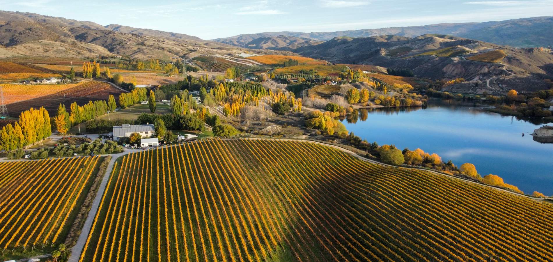 Carrick vineyard and Bannockburn Inlet