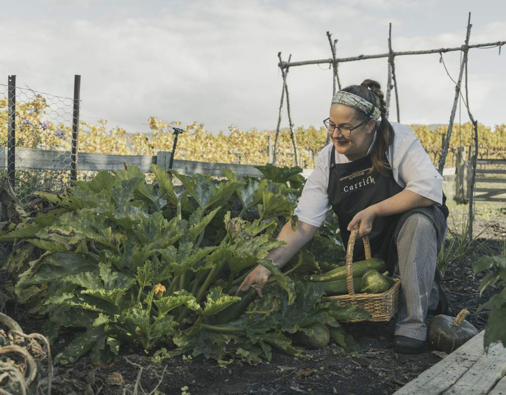 Carrick 3W8A7431 LARGE