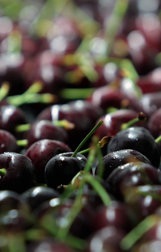 Cherries 3