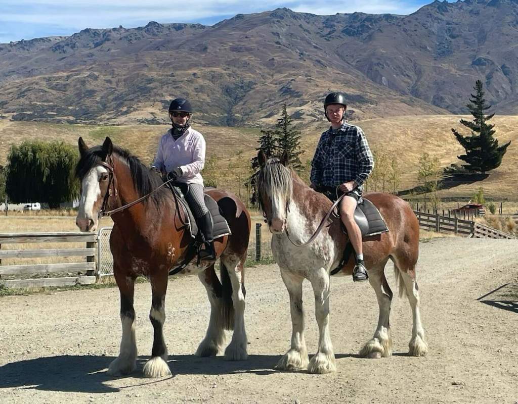 Clydesdales ridden
