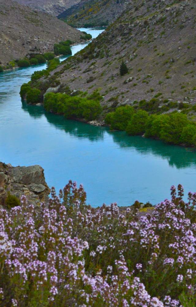 Cutha River Cruises Roxburgh Gorge Heritage Cruise Doctors Point views