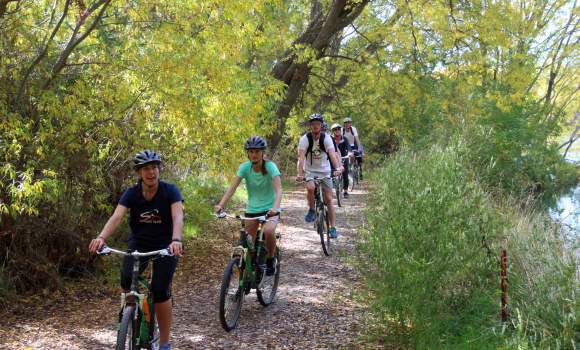 Cycling Alexandra River trail