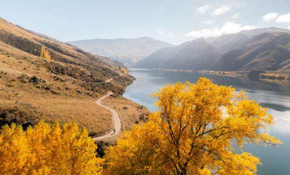 Lake Dunstan Trail in Autumn Credit Will Nelson