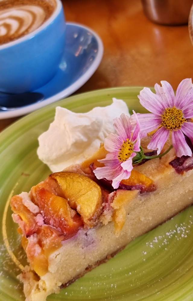 Courthouse Cafe Credit Alexia Santamaria 5