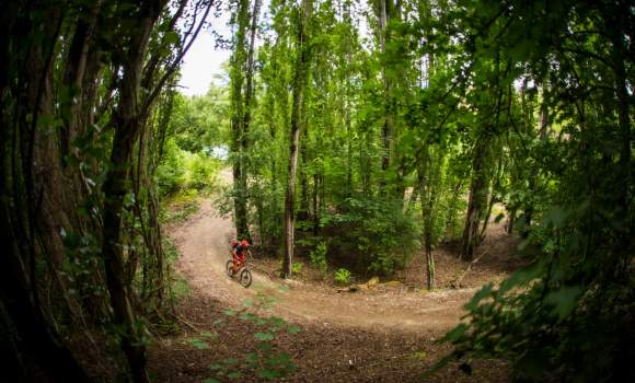 Cycle the Clutha Gold Trail